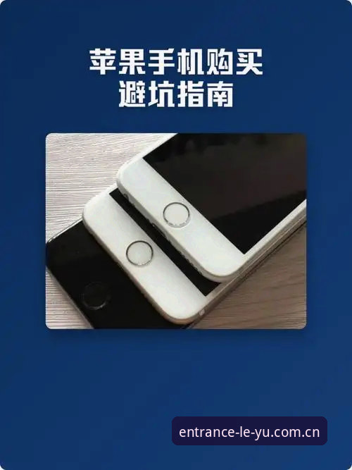 资深用户分享：乐鱼苹果下载安全吗？我的真实使用心得与避坑指南