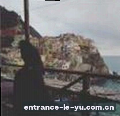 刘洋